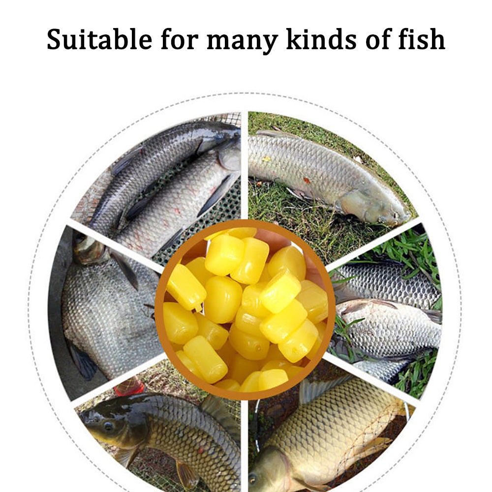 100 Uds. Cebo suave de silicon - Fishing Lure Topwater reseña y precio